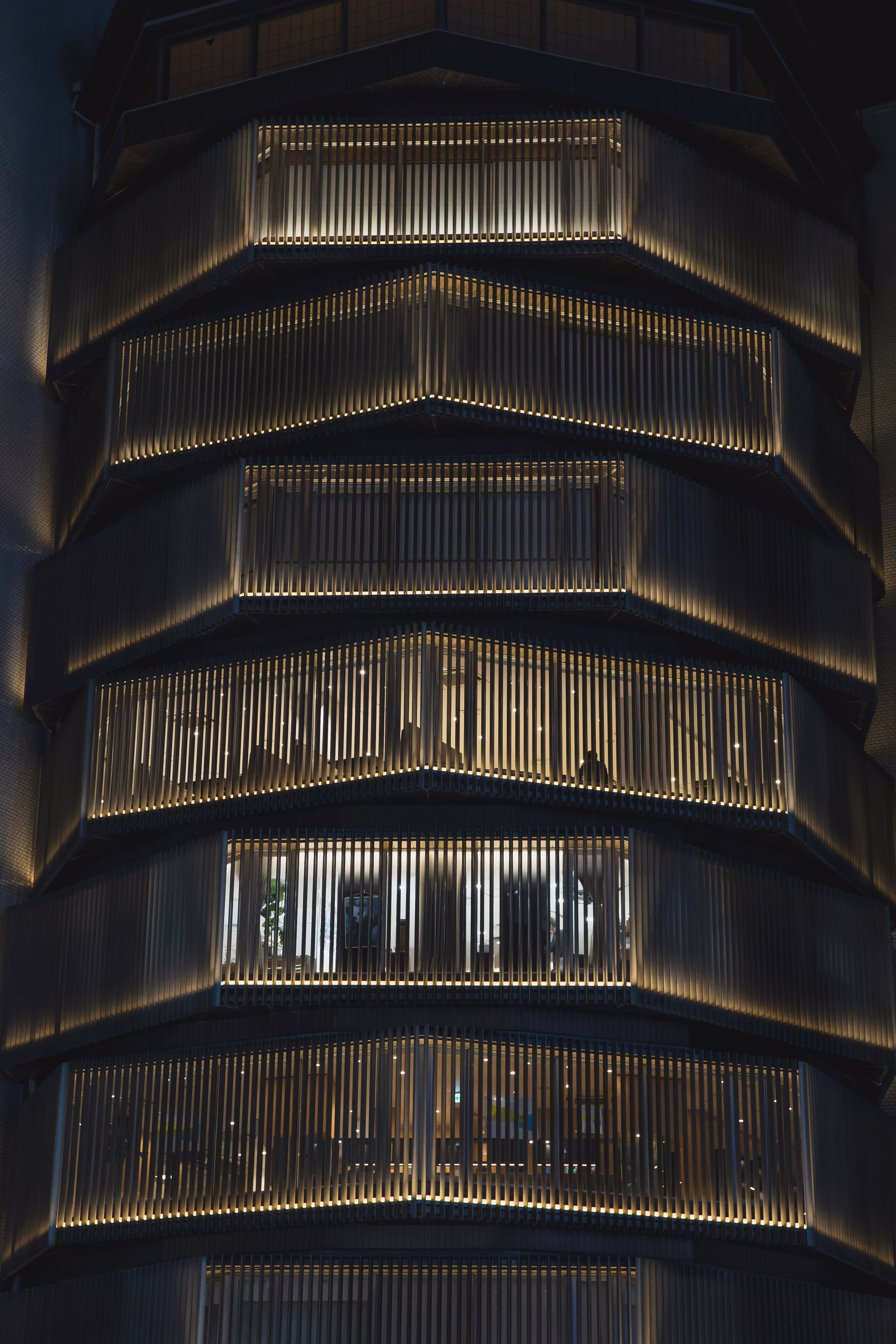 Our Vision